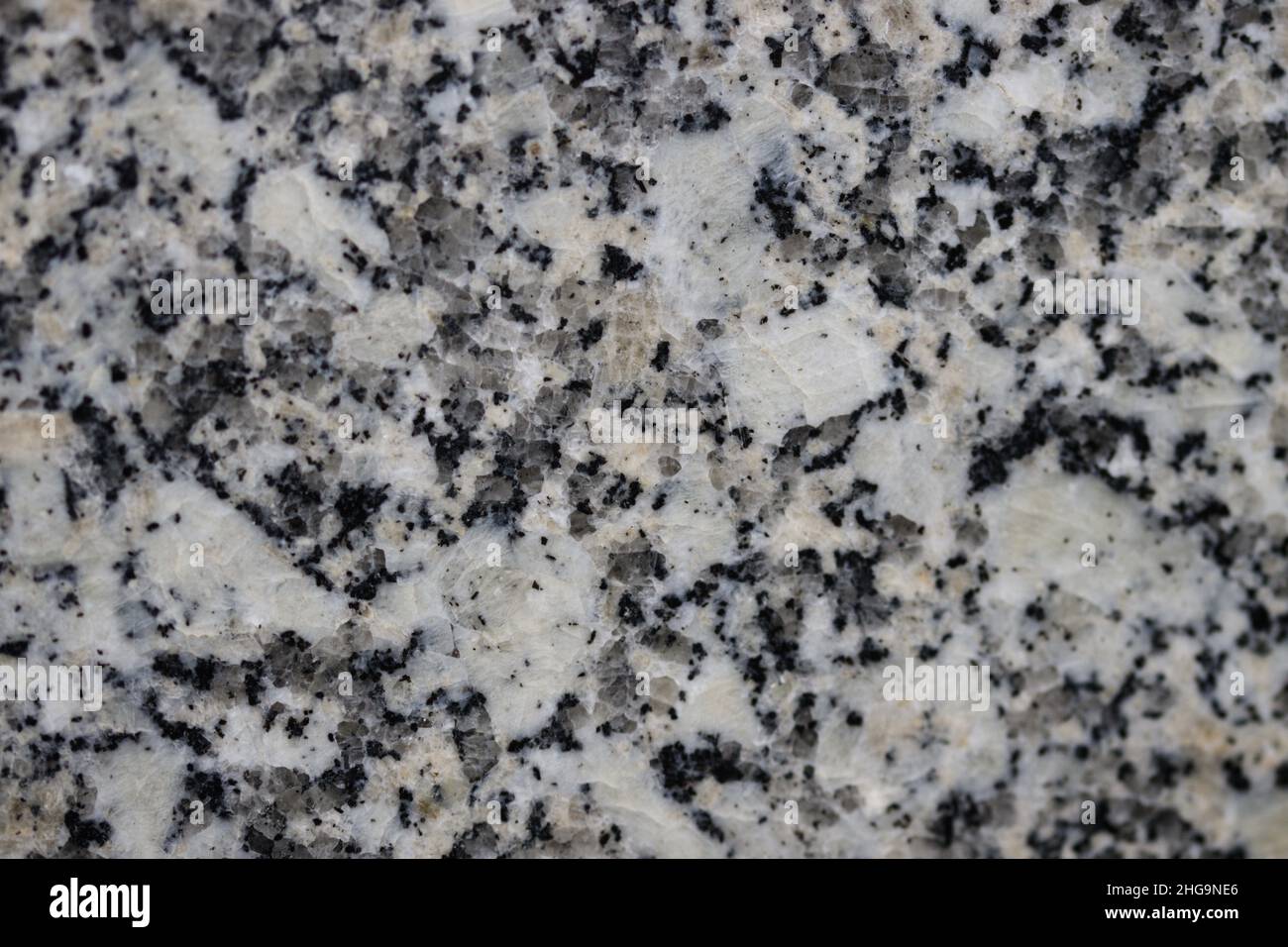 Image en gros plan d'un carreau de granit gris montrant des composants de roche ignée tels que le quartz (transparent), le feldspath (blanc) et le mica (noir) Banque D'Images