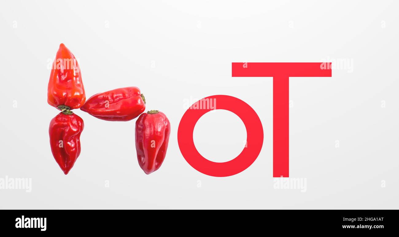 poivre chaud isolé sur fond blanc Banque D'Images