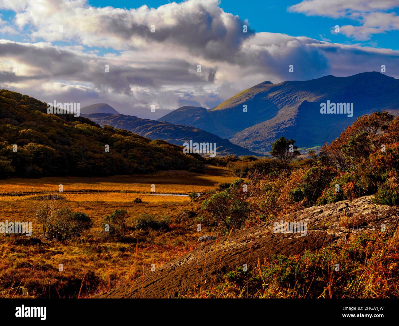 Macgillycuddy's Reeks from the Upper Lounds, Killarney County Kerry, irlande Banque D'Images