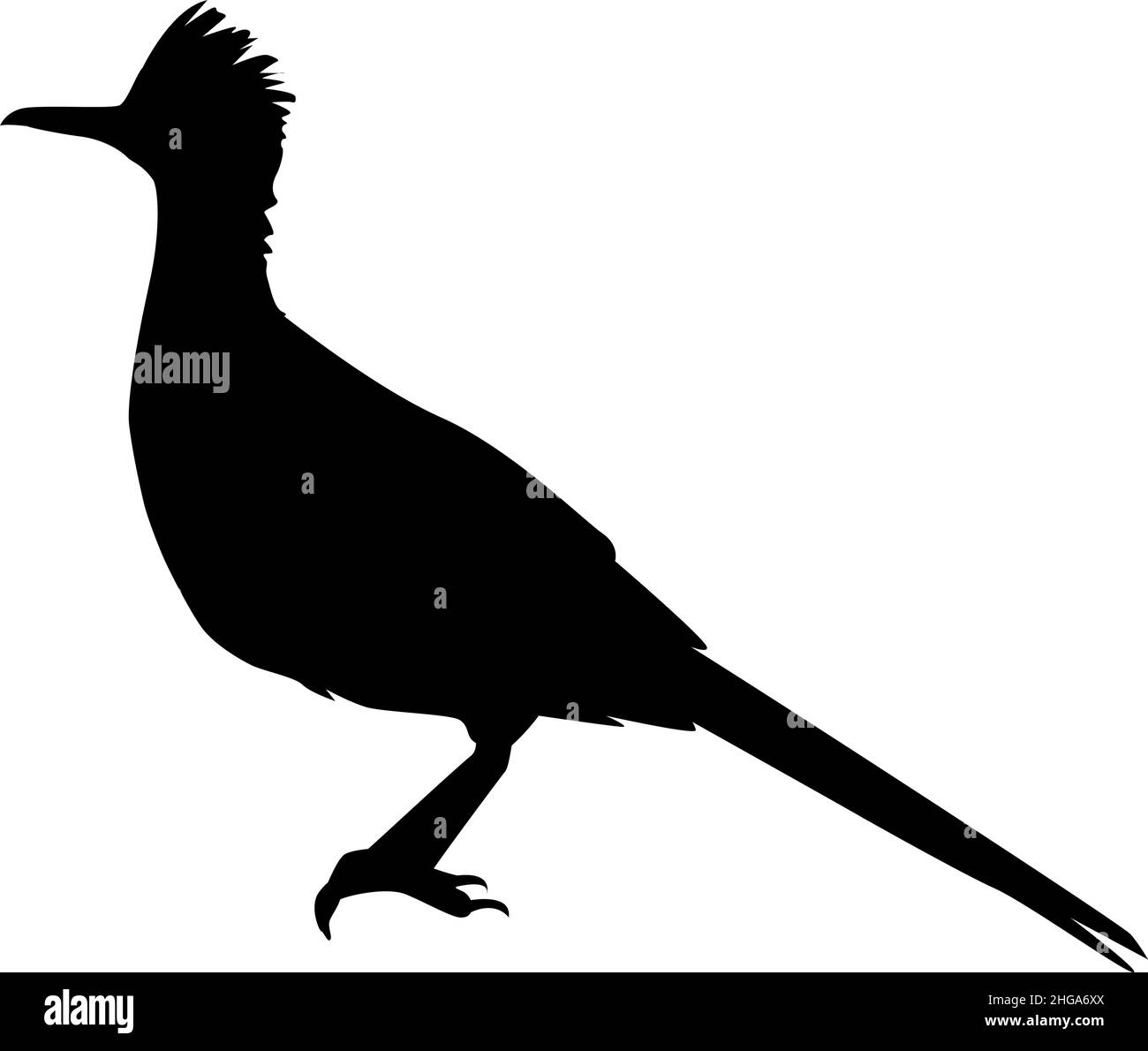 silhouette de roadrunner sauvage Illustration de Vecteur