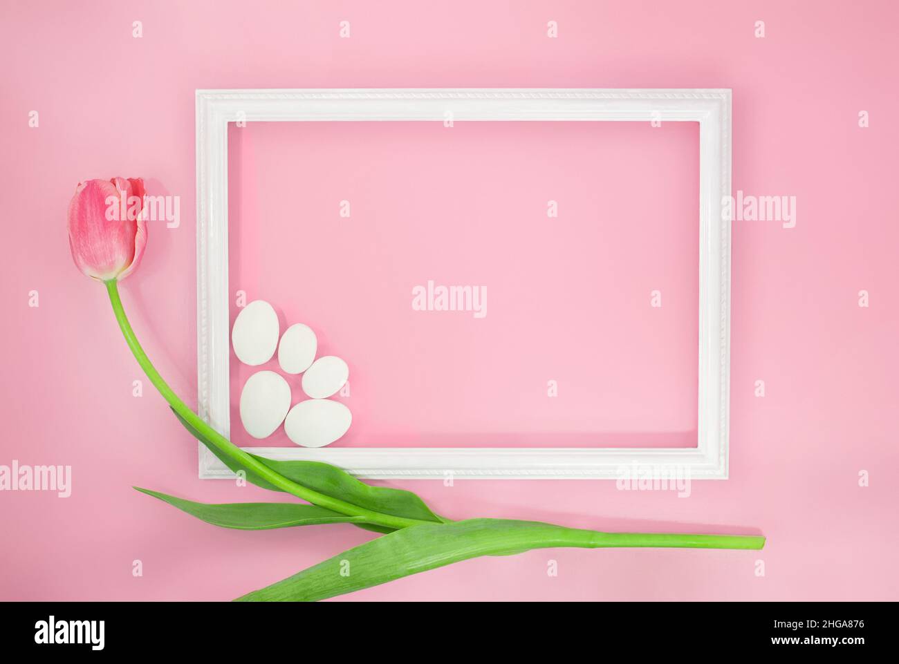 Tulipe avec cadre et pierres blanches sur fond rose.Vacances, anniversaire, 8 mars, Fête des mères, Journée internationale de la femme,Saint-Valentin.Copier l'espace Banque D'Images
