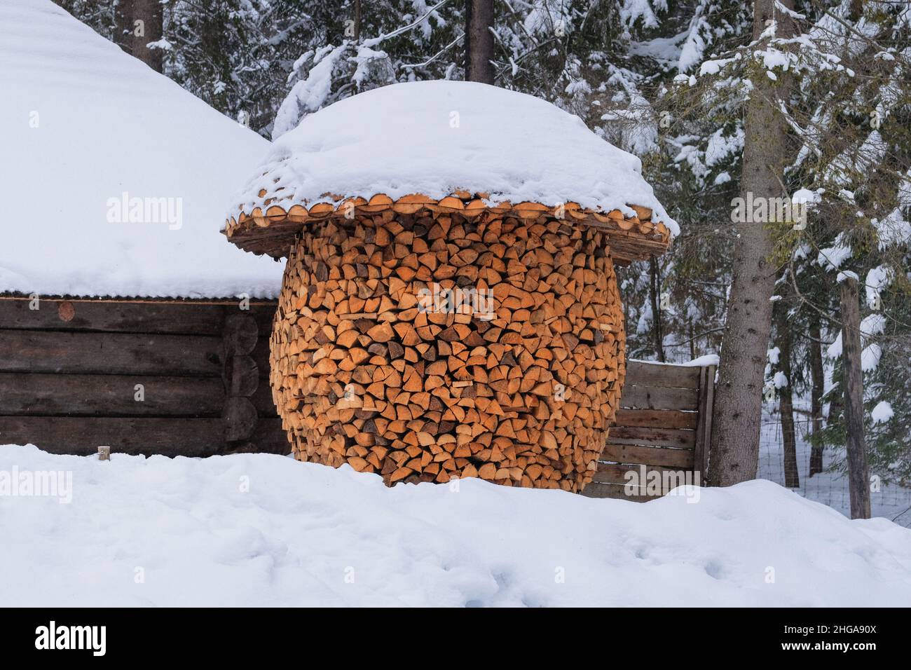 Entrepôt de bois de chauffage sous forme de champignon dans le pays rural.Bois de chauffage pour l'hiver.Bois de chauffage à l'extérieur, bois couvert empilé. Banque D'Images