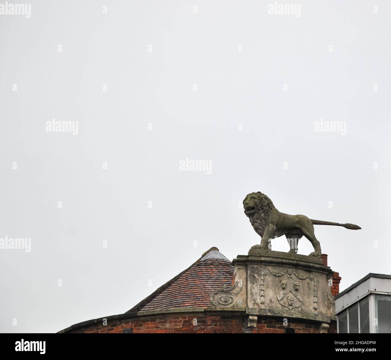 Un Lion de pierre garde l'entrée arrière de 'The Lion Hotel' à Shrewsbury Banque D'Images