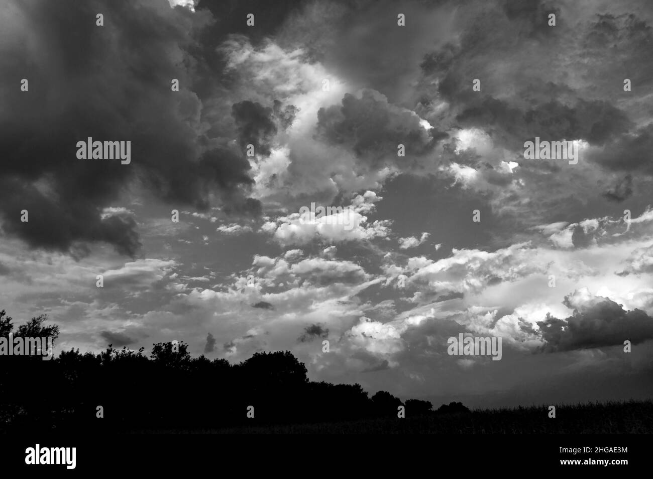 Image en noir et blanc du paysage de la soirée d'automne avec un coucher de soleil spectaculaire ciel nuageux au-dessus du champ avec des récoltes Banque D'Images