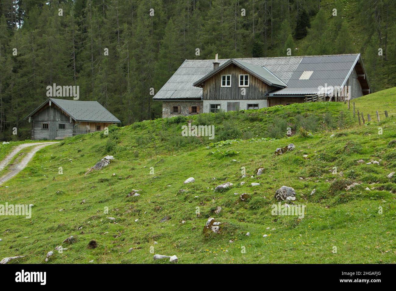 ALP près de Filzmoos dans la province de Salzbourg, Autriche, Europe Banque D'Images ALP près de Filzmoos dans la province de Salzbourg, Autriche, Europe Banque D'Images