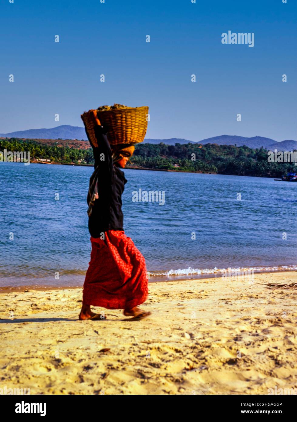 Exclusif à Alamy Goan Beach vendeur avec panier de marchandises sur la tête sur sacs plage Goa, Inde Banque D'Images