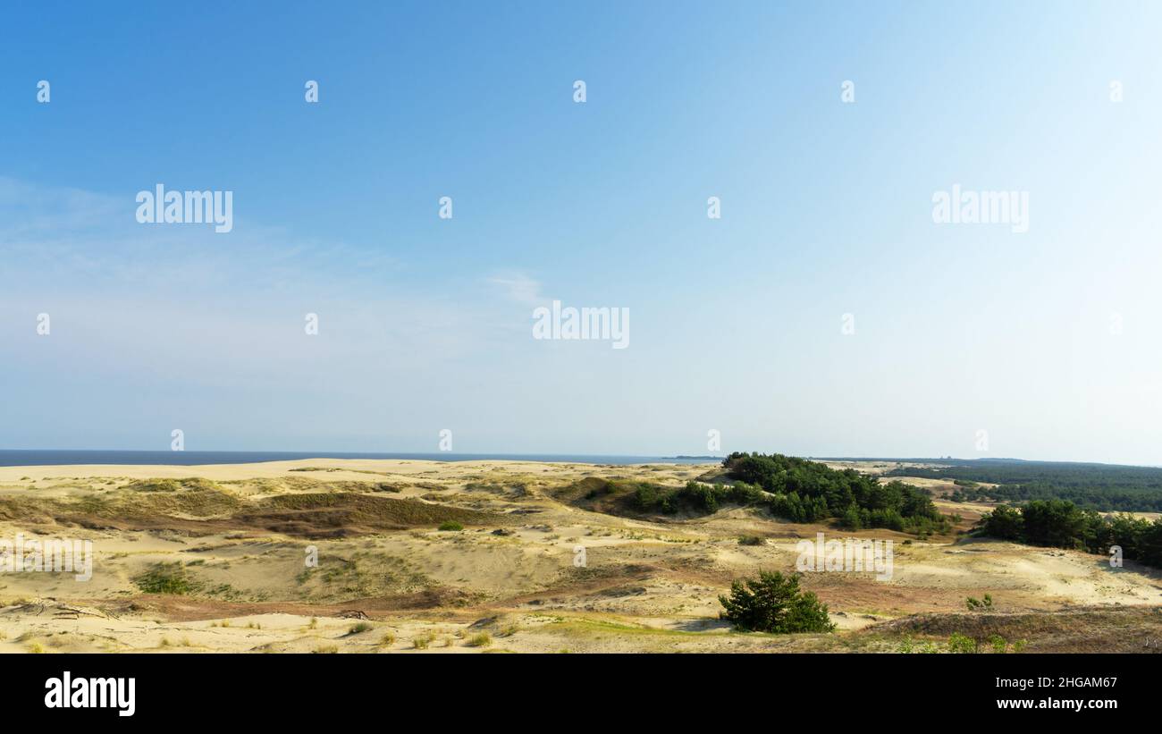 Poncer l'EFA sur la Spite de Curonian, un jour ensoleillé en été, mer Baltique, région de Kaliningrad, Russie. Banque D'Images