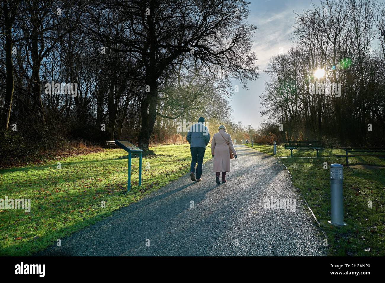 Une promenade en couple le long de la route Pat Fawcett à travers Hazel Woods, la plus grande forêt urbaine ancienne du Royaume-Uni, datant de 800AD, Corby, Angleterre, sur un soleil Banque D'Images