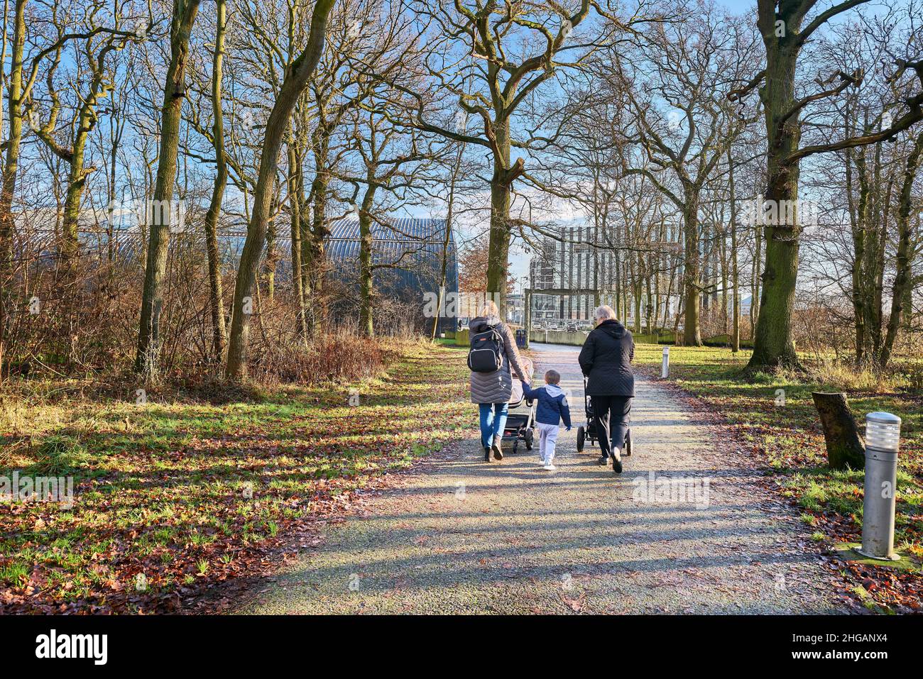 Une promenade en famille le long de Pat Fawcett Way à travers Hazel Woods, la plus grande forêt urbaine ancienne du Royaume-Uni, datant de 800AD, Corby, Angleterre, sur une victoire ensoleillée Banque D'Images