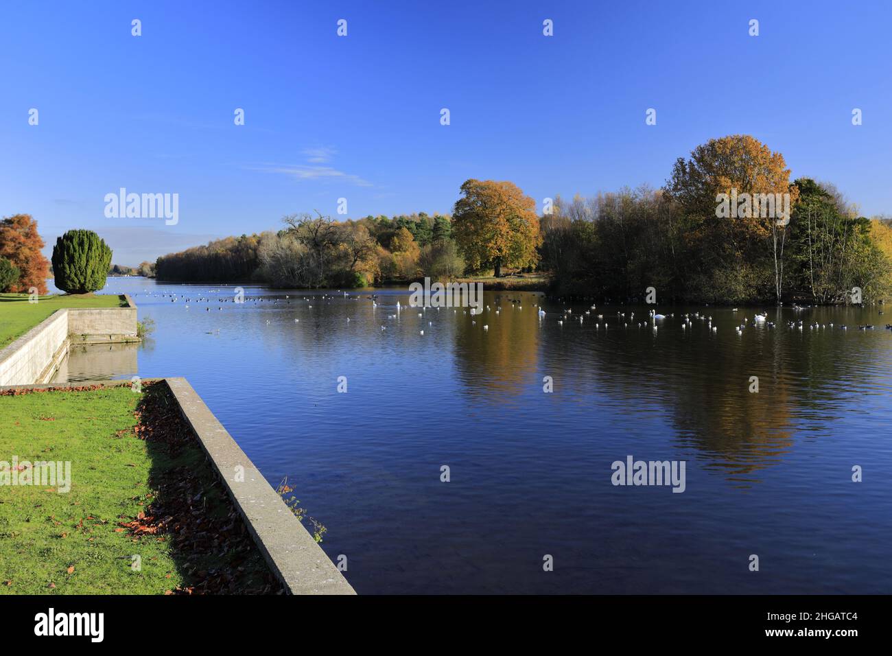 Couleurs d'automne au-dessus du lac à Clumber Park, dans le tinghamshire, Angleterre, Royaume-Uni Banque D'Images