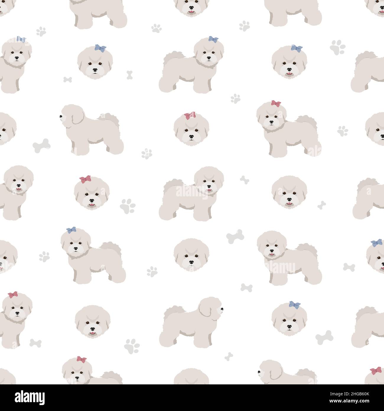 Bichon Frise Teacup sans coutures.Différentes couleurs de pelage et poses.Illustration vectorielle Illustration de Vecteur