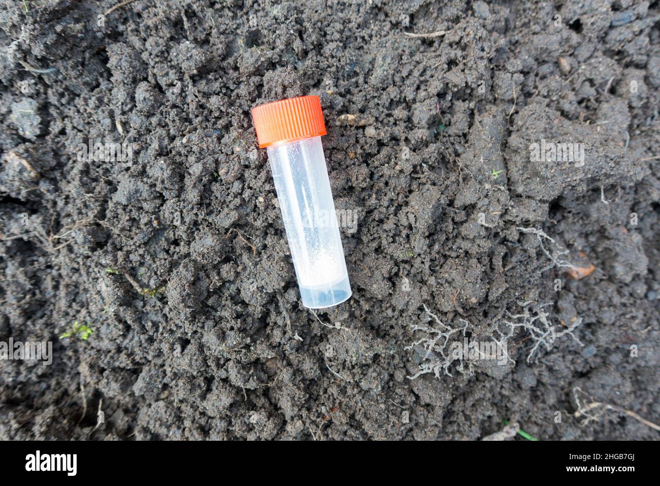 Tube d'essai du sol pour effectuer des essais du sol pour connaître l'acidité Banque D'Images