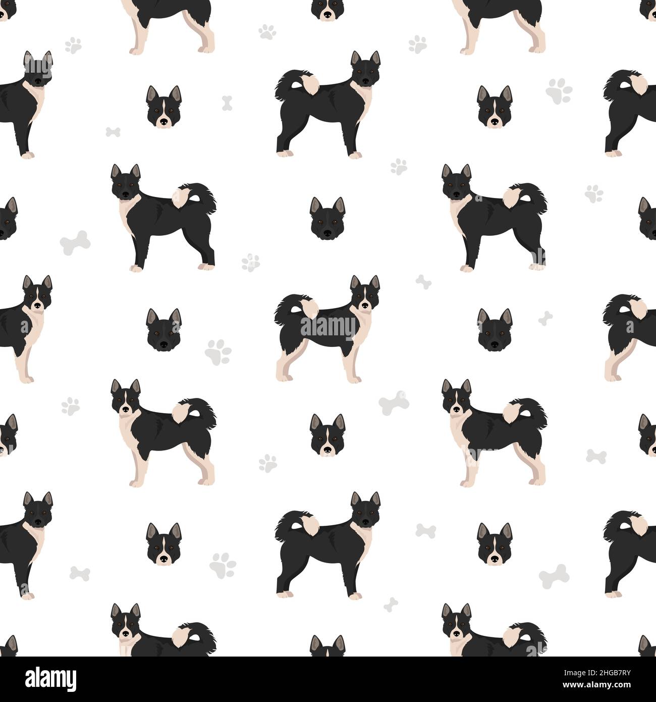 Motif chien ours Karelian sans coutures.Différentes poses, ensemble de couleurs de pelage.Illustration vectorielle Illustration de Vecteur