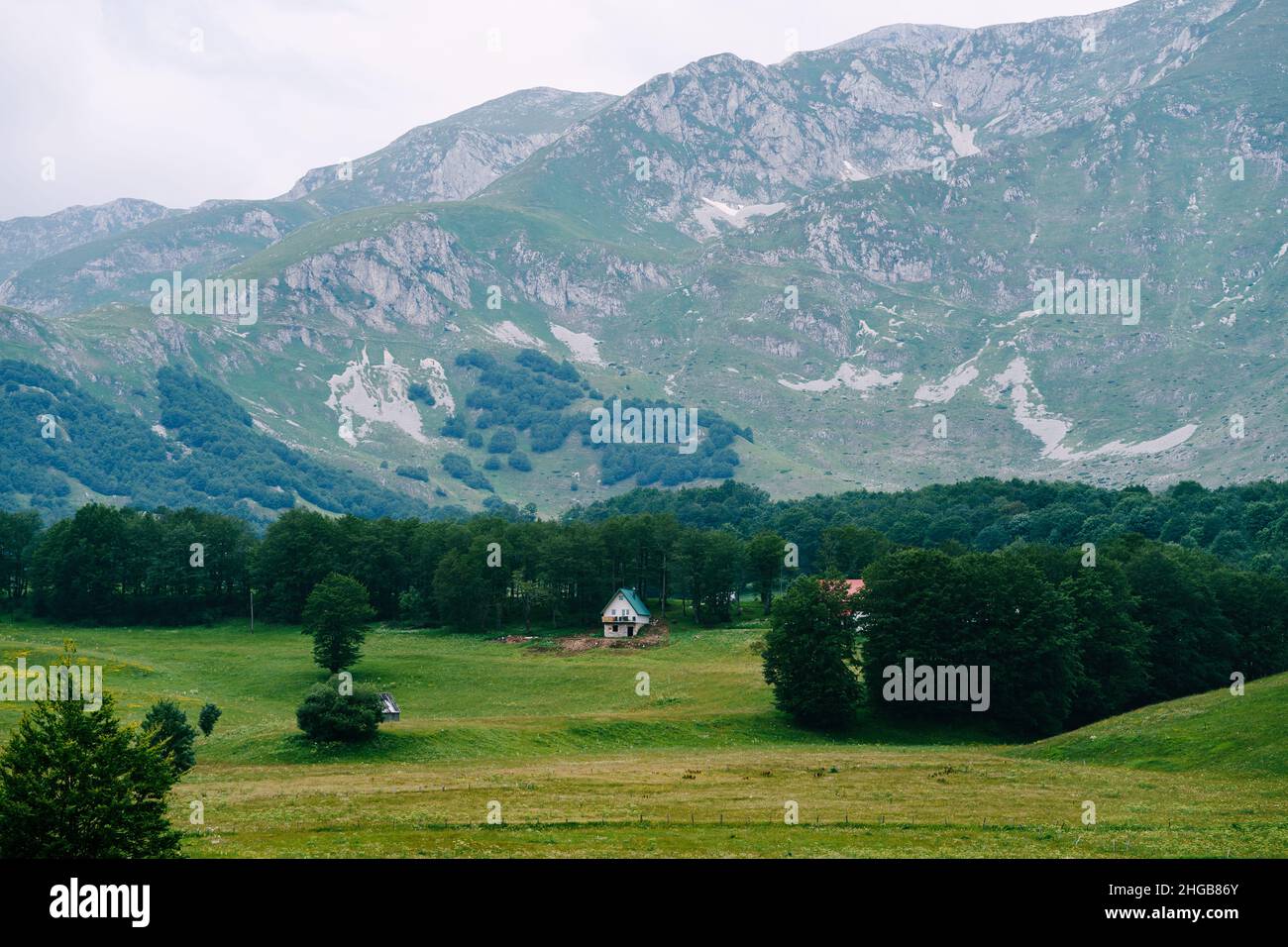 Maison dans les montagnes dans le nord du Monténégro entouré d'arbres Banque D'Images