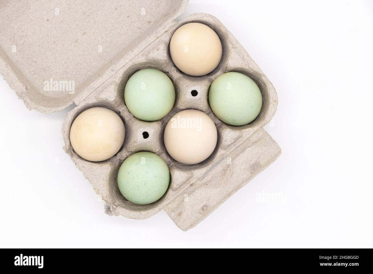 boîte en carton de 6 oeufs de ferme colorés de gamme libre bleu vert et brun de couleur isolée sur un fond blanc de studio Banque D'Images