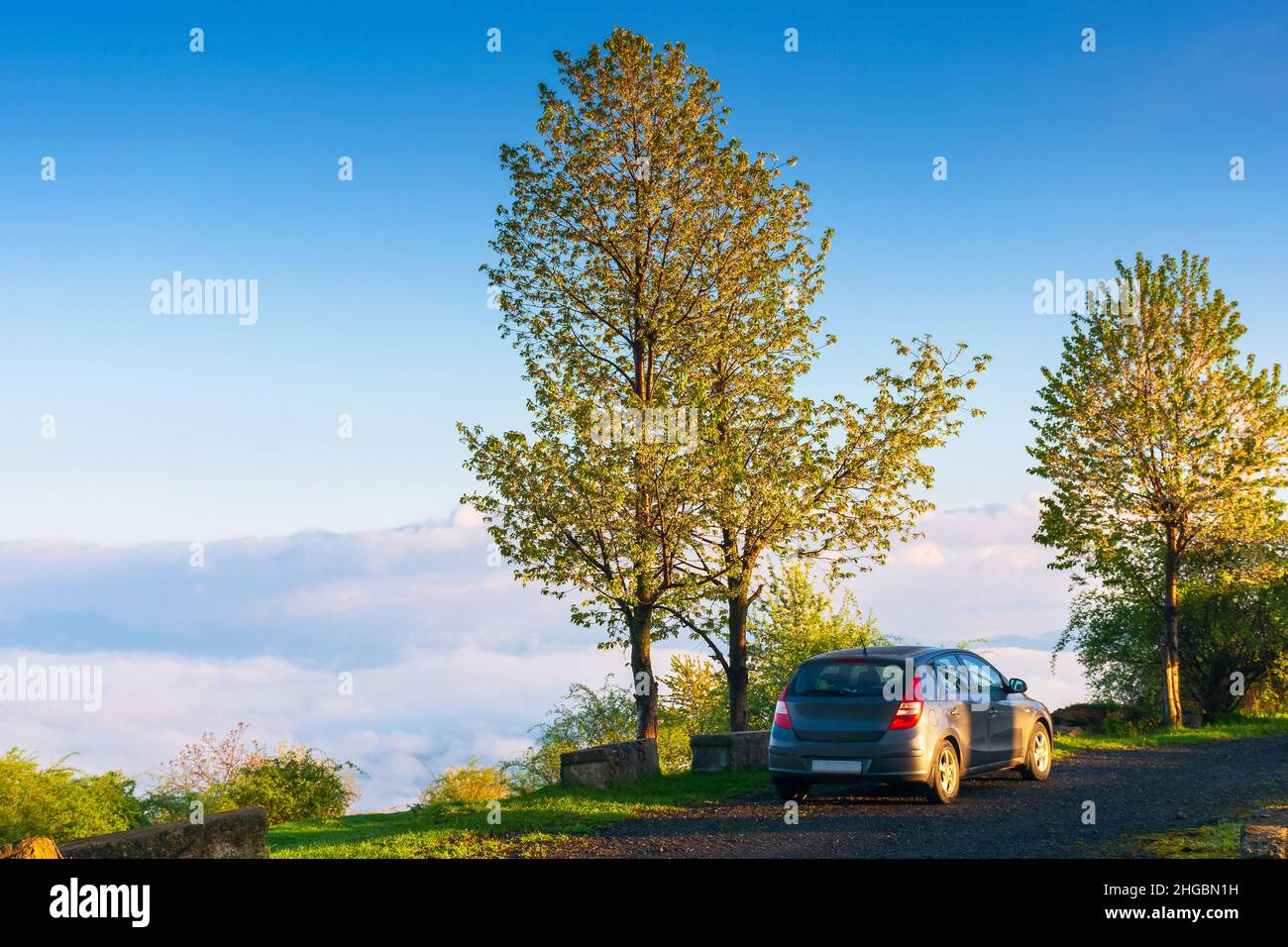 voiture sur la colline. magnifique paysage de campagne au printemps. voyage tôt le matin. arbres sur la pente sous un ciel bleu avec des nuages. Banque D'Images