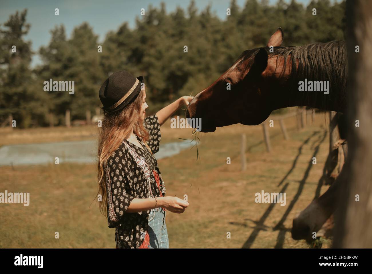 Belle fille sur la ferme alimente le cheval.Femme tenant des animaux de ferme dans la forêt.La vie dans le village, une belle brunette petant un cheval et la Banque D'Images