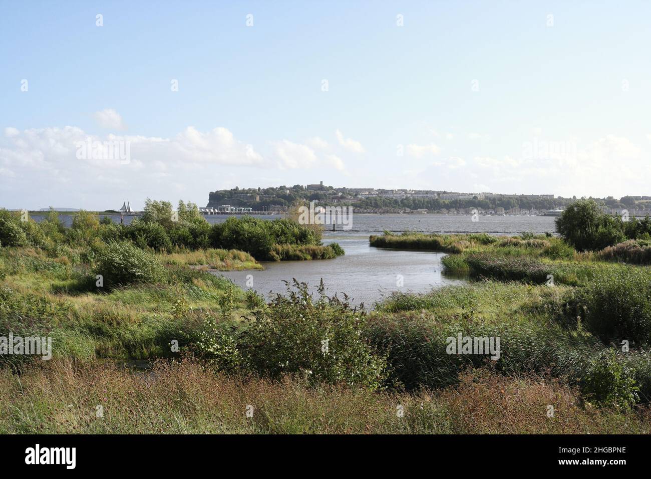 Réserve naturelle des terres humides de Cardiff Bay, pays de Galles, Royaume-Uni, point chaud de la biodiversité, habitat faunique terrestre récupéré Banque D'Images