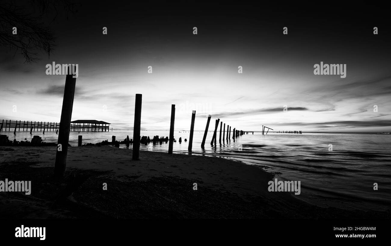 Live Oaks, Blue Hour, pilings, Golfe du Mexique, États-Unis Banque D'Images