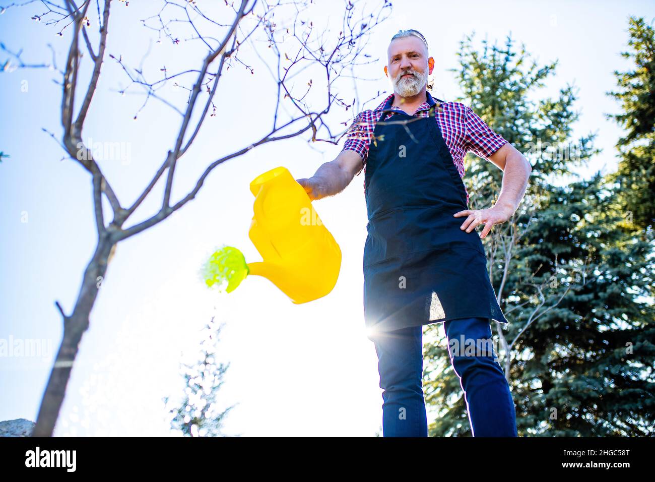 un homme caucasien plus âgé avec une barbe grise et des cheveux arroser l'arbre végétal dans son jardin par une journée ensoleillée Banque D'Images