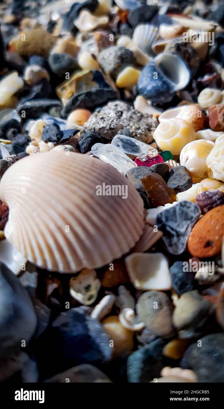 Fond d'écran coloré de verre de mer et coquillages de mer Banque D'Images Fond d'écran coloré de verre de mer et coquillages de mer Banque D'Images