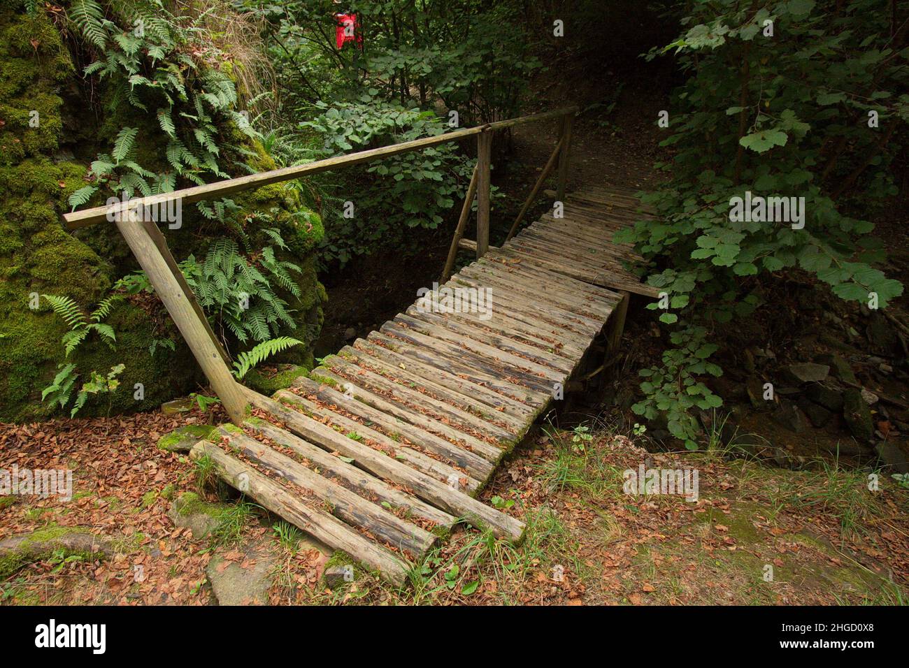 Ancien pont en bois sur la piste de randonnée dans la vallée de la Mze dans la région de Stribro,Plzeň,République Tchèque,Europe Banque D'Images