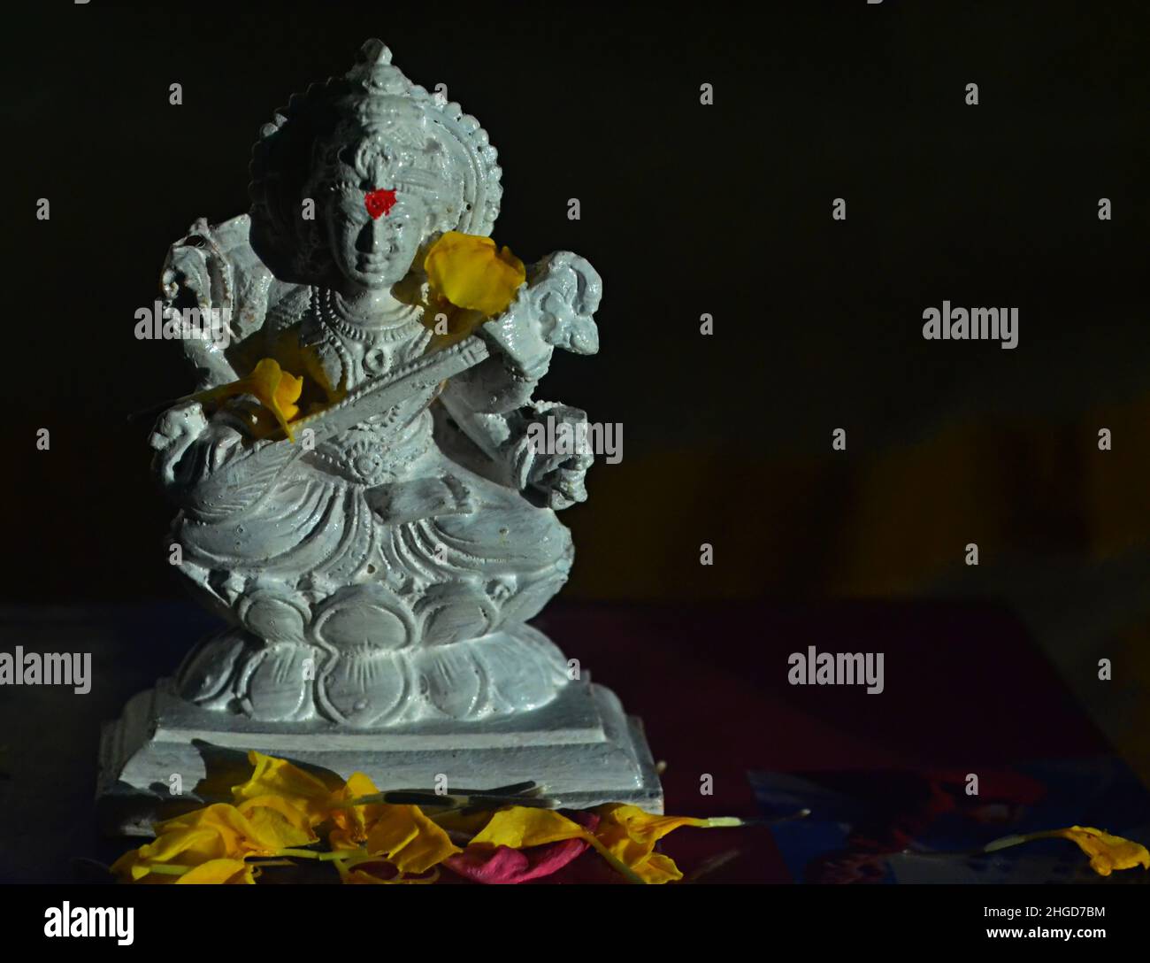 Idol blanc de la déesse Saraswati sur livres/Vasant Pancami/Festival de printemps/Marigold fleurs/Inde Banque D'Images