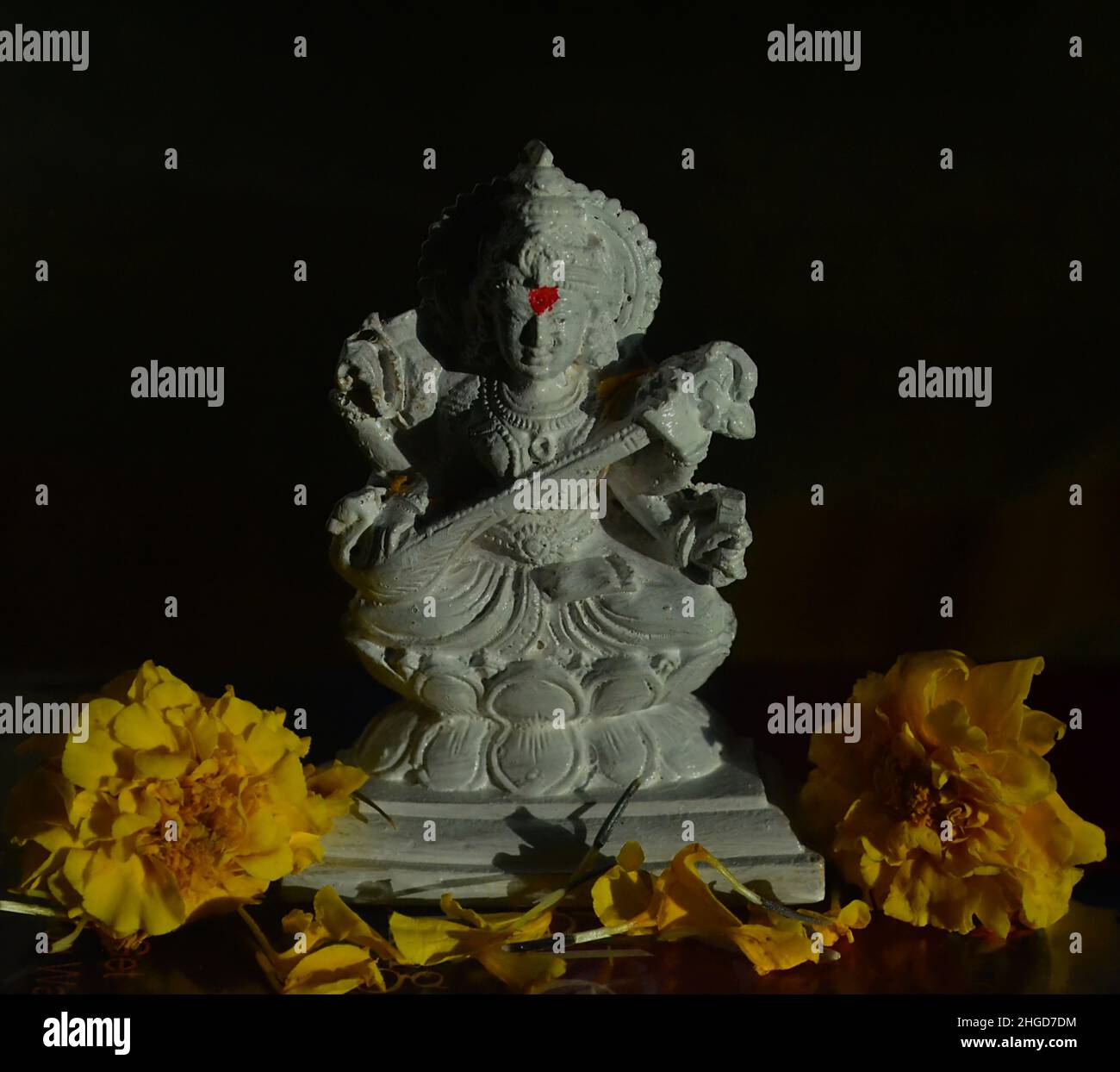 Idol blanc de la déesse Saraswati sur livres/Vasant Pancami/Festival de printemps/Marigold fleurs/Inde Banque D'Images