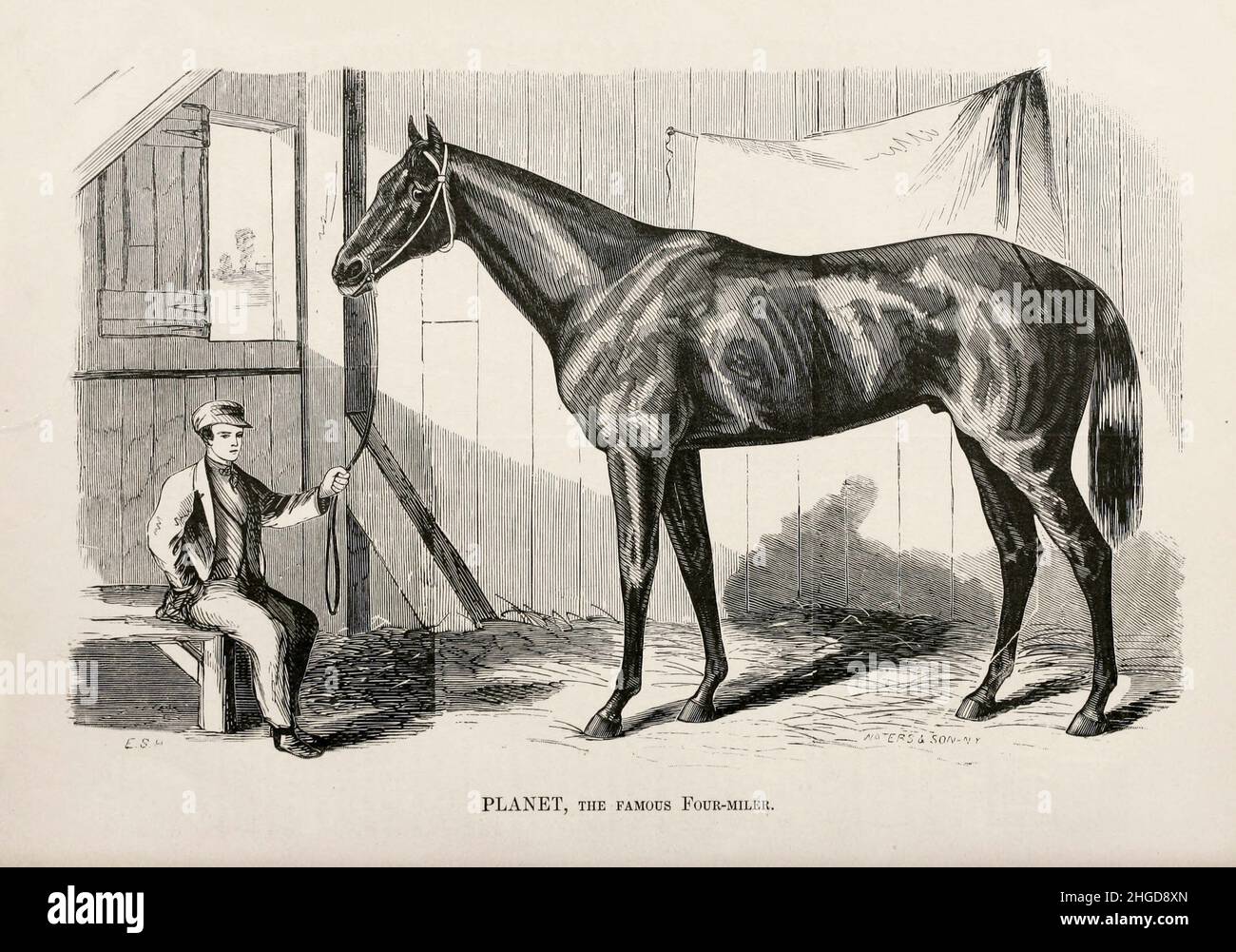 Planet, le célèbre quatre mille dessiné par E. S. H. [Planet (1855–1875) était un cheval de course et un intronisé du U.S. Racing Hall of Fame qui, au peuple, était considéré comme le meilleur cheval avant la guerre de Sécession.Il a établi un record pour les gains en argent du prix qui ont représenté pendant 20 ans].D'après le livre ' Famous American race chevaux ' publié en 1877 par porter et Coates Philadelphie, Banque D'Images