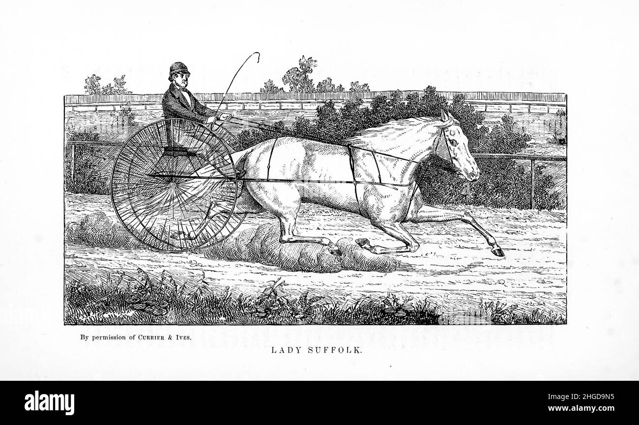 Lady Suffolk, la 'Old Gray Mare' de long Island, a été déferlé en 1833 à Smithtown sur la ferme de Carl S. Burr, Jr. Son frère était Ingénieur II, son barrage Jenny.David Bryan a acheté la crasse, qui tirait une charrette à huîtres, lorsqu'elle avait quatre ans, et a commencé sa course l'année suivante à Babylone, long Island, pour un sac de 11 $.Lady Suffolk a couru sous selle et a gagné deux des trois épreuves.Elle a fait le premier 2:30 mile à Hoboken, New Jersey en 1845, faisant le mile en 2:29 1/2.Elle a tenu des disques sous selle, à chariot et à haute roue de sulky.Une militante pour seize saisons, Lady Suffolk Banque D'Images