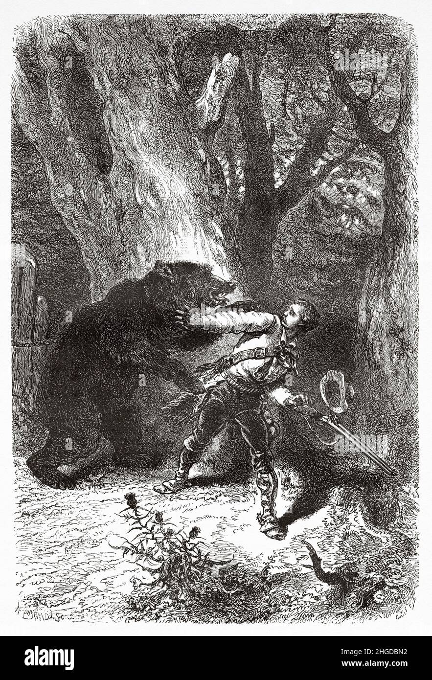 Un explorateur attaqué par un ours, Floride, États-Unis d'Amérique.Vieux 19th siècle illustration gravée de quatre mois en Floride par Achille Poussielgue, le Tour du monde 1870 Banque D'Images