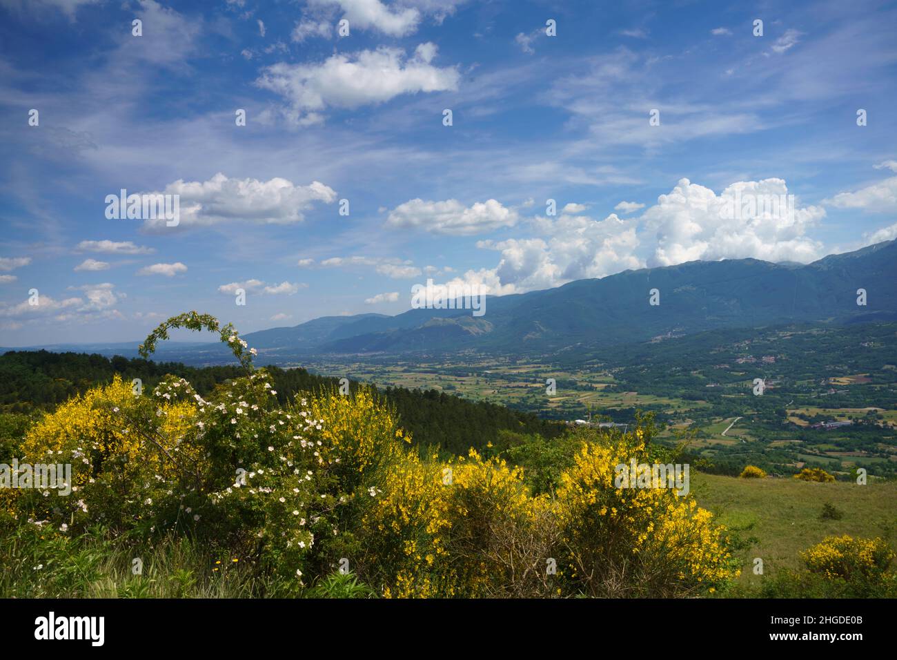 Paysage à Molise près de Macchiagodena et de Sant Angelo à Grotte, province d'Isernia, au mois de juin Banque D'Images