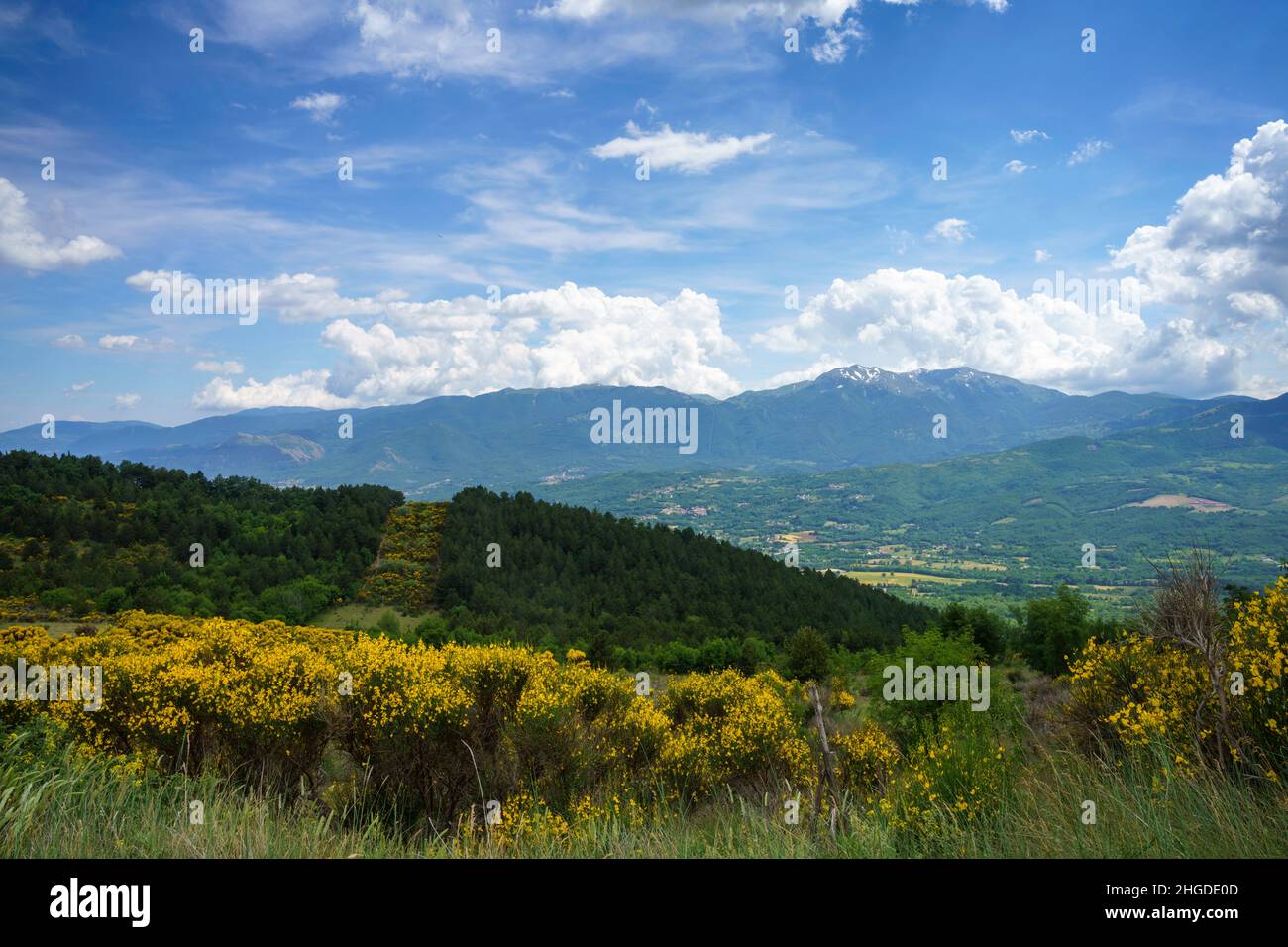 Paysage à Molise près de Macchiagodena et de Sant Angelo à Grotte, province d'Isernia, au mois de juin Banque D'Images
