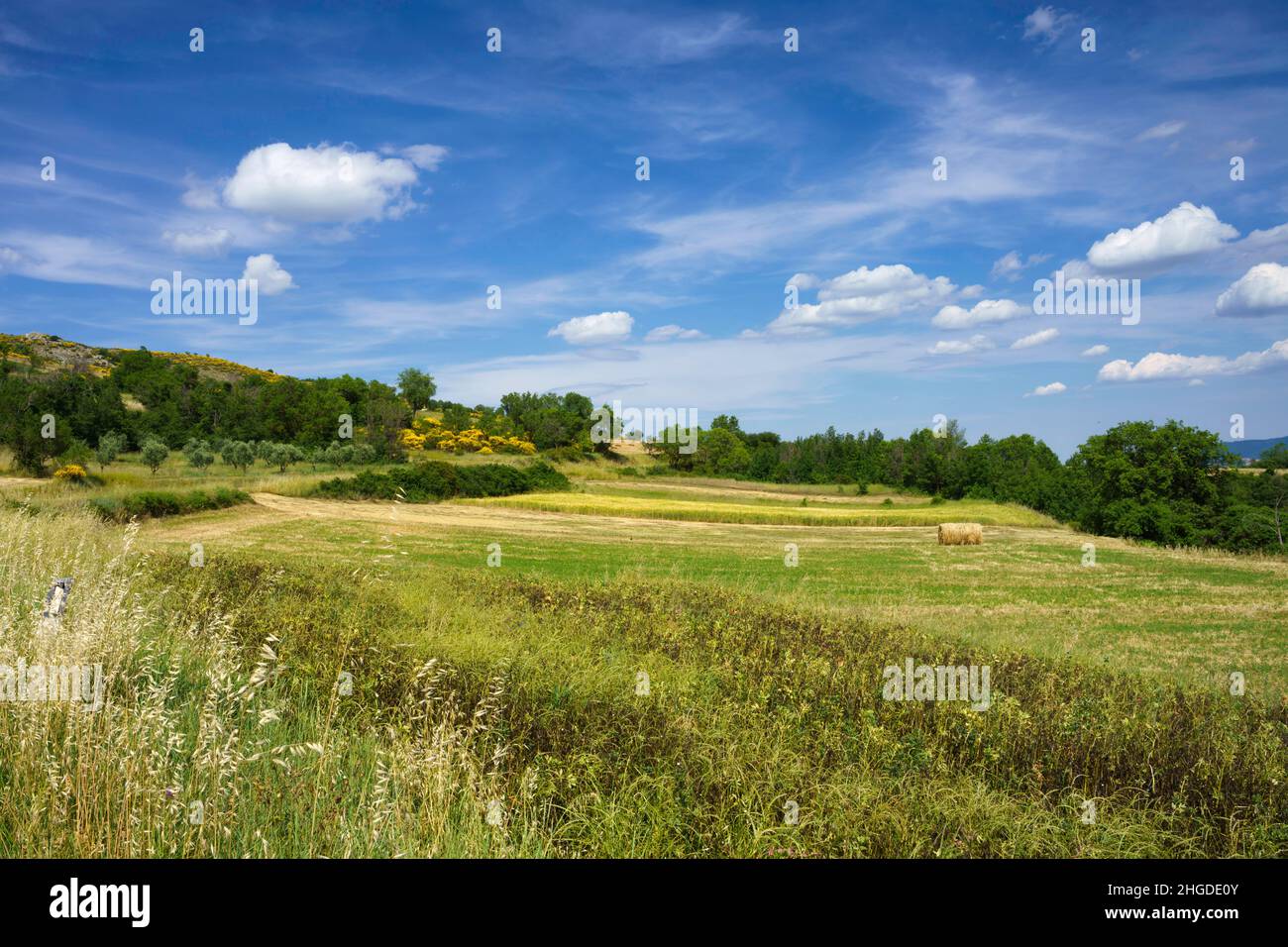 Paysage à Molise près de Macchiagodena et Frosolone, province d'Isernia, en juin Banque D'Images