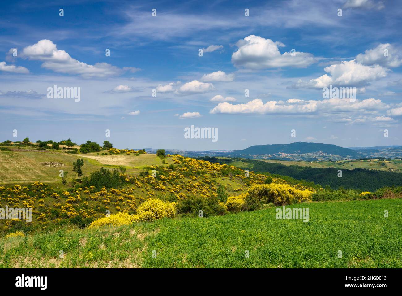 Paysage à Molise près de Macchiagodena et Frosolone, province d'Isernia, en juin Banque D'Images