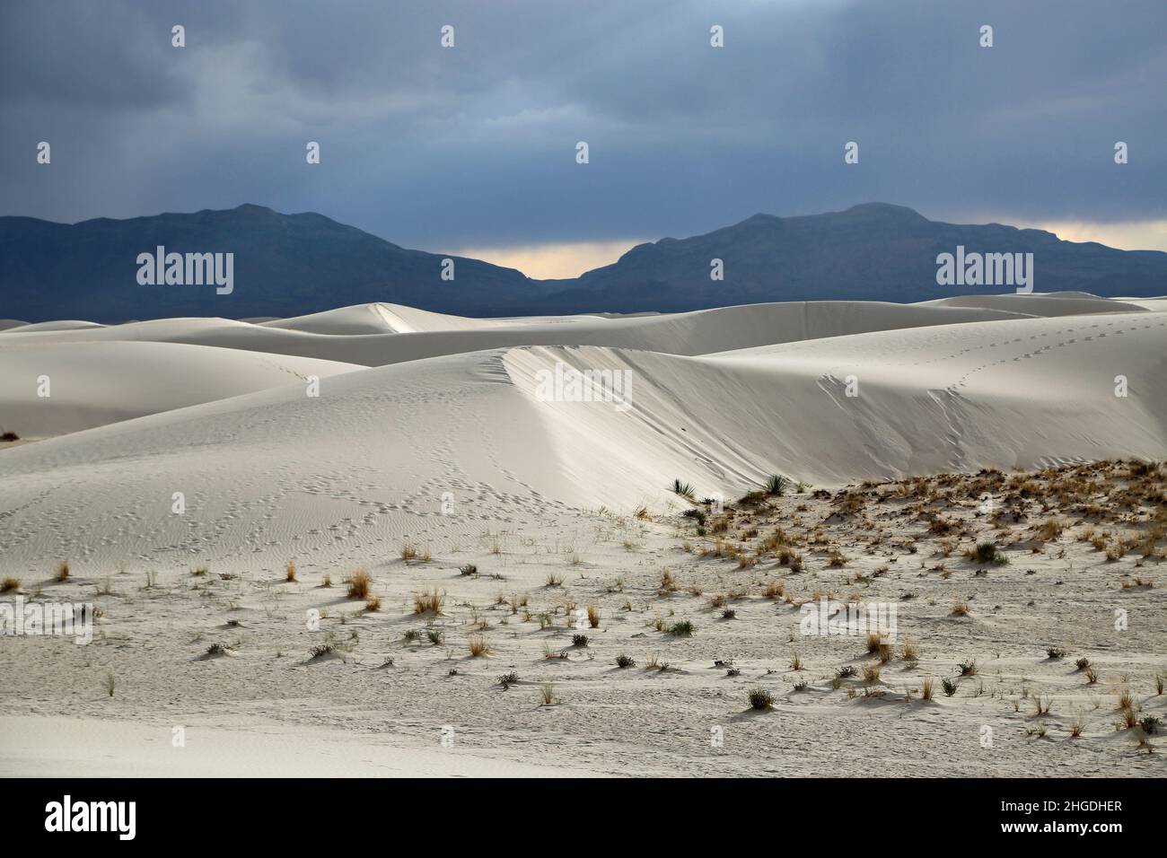 Paysage avec dunes blanches - Parc national de White Sands, Nouveau-Mexique Banque D'Images