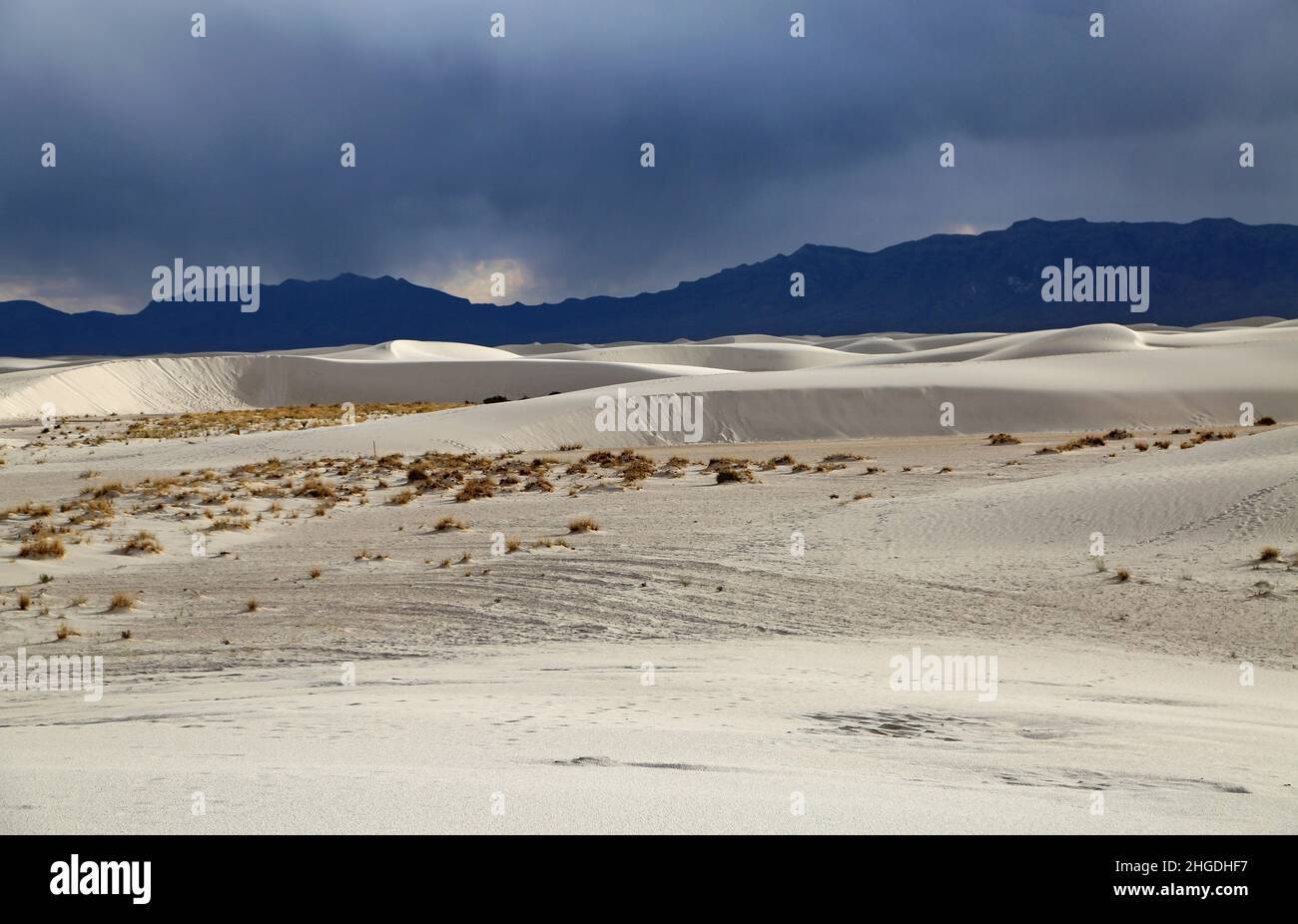 Vue sur les dunes blanches - Parc national de White Sands, Nouveau-Mexique Banque D'Images