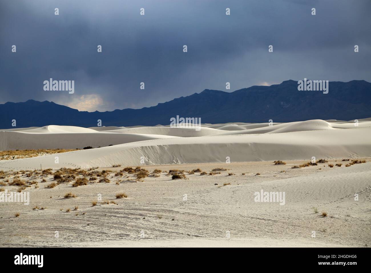 Dunes blanches dans le bassin de Tularosa - Parc national de White Sands, Nouveau-Mexique Banque D'Images