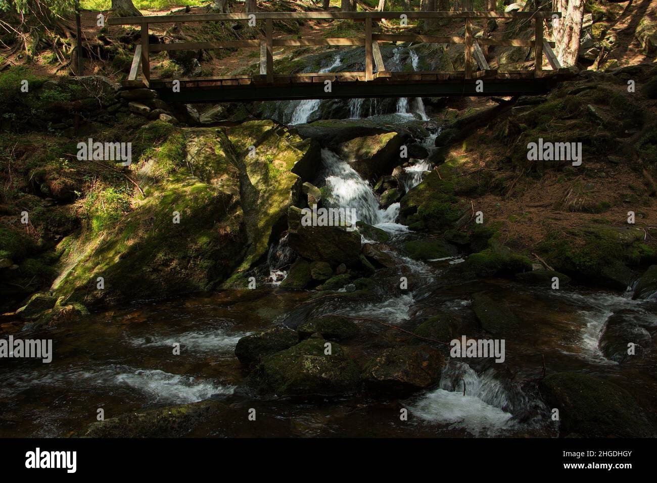 Pont en bois au-dessus de la chute d'eau vodopad Lisci sur la crique Zeleny potok à Pec pod Snezkou dans les montagnes géantes, République tchèque, Europe Banque D'Images