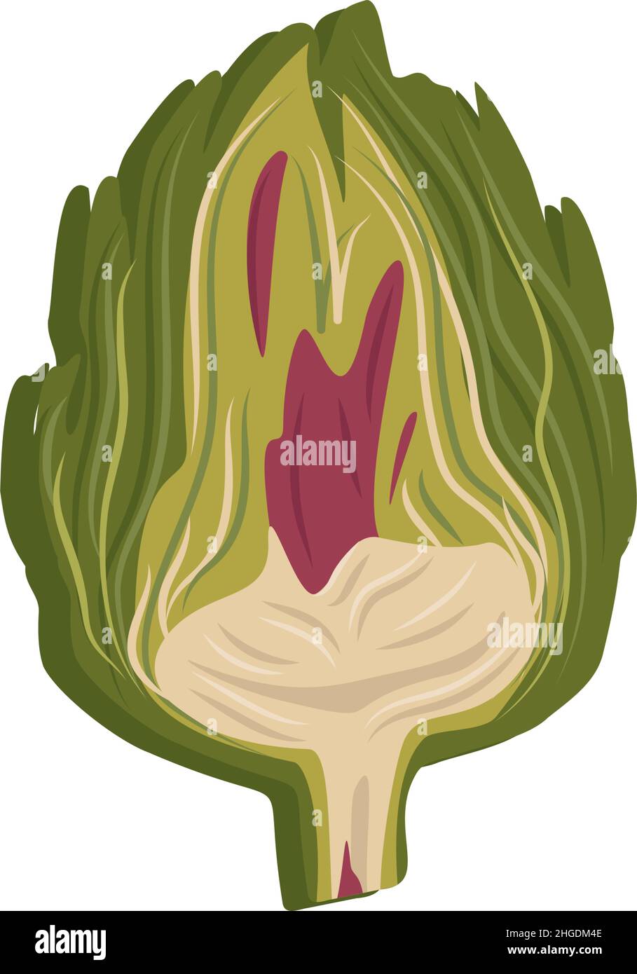 Icône d'artichaut verte.Légumes et feuilles sains entiers, récolte.Délicieux repas pour la salade et la cuisine.Illustration vectorielle plate Illustration de Vecteur