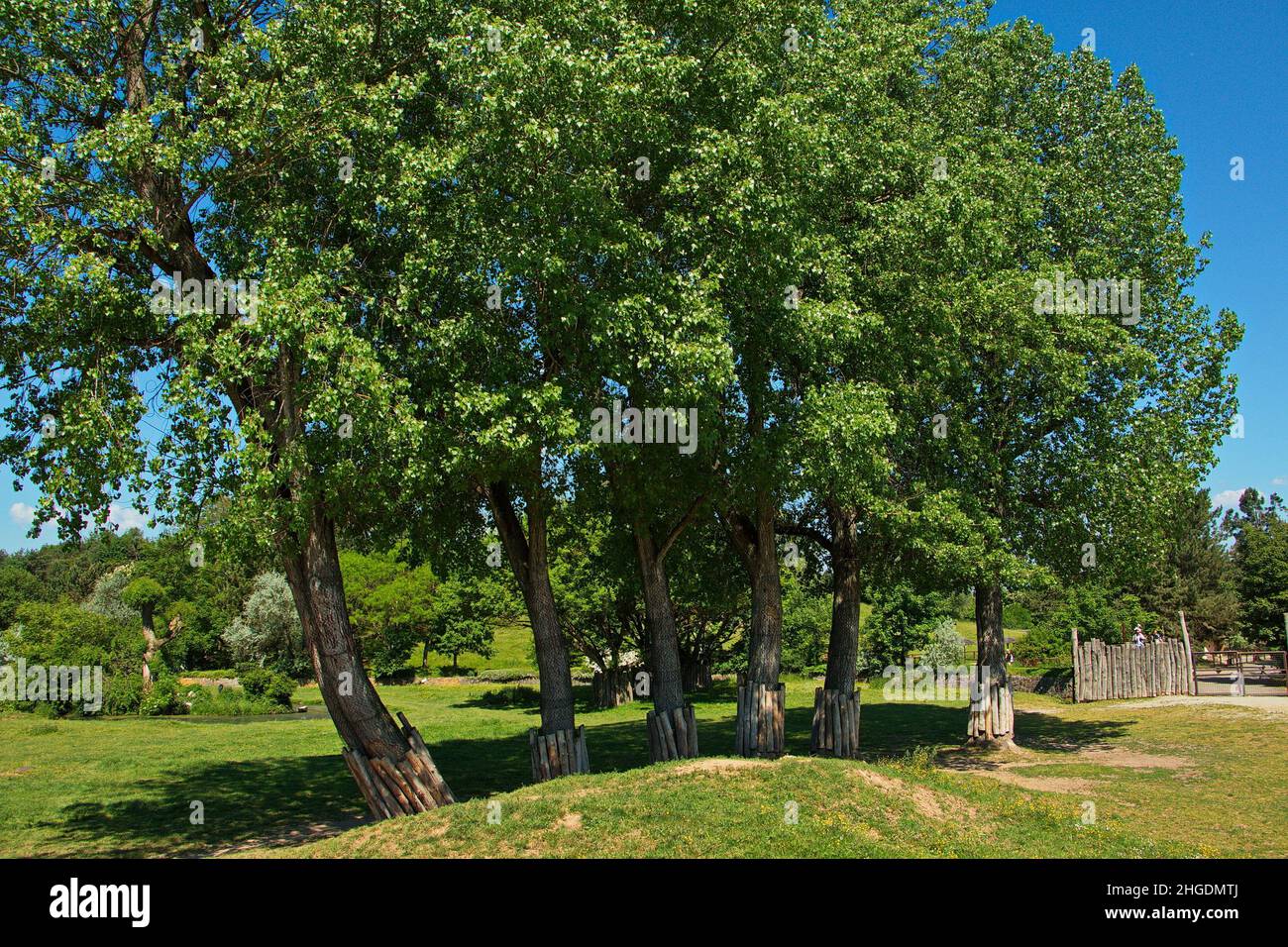 Safari Park à Dvur Kralove nad Labem, Bohême de l'est, République tchèque, Europe Banque D'Images