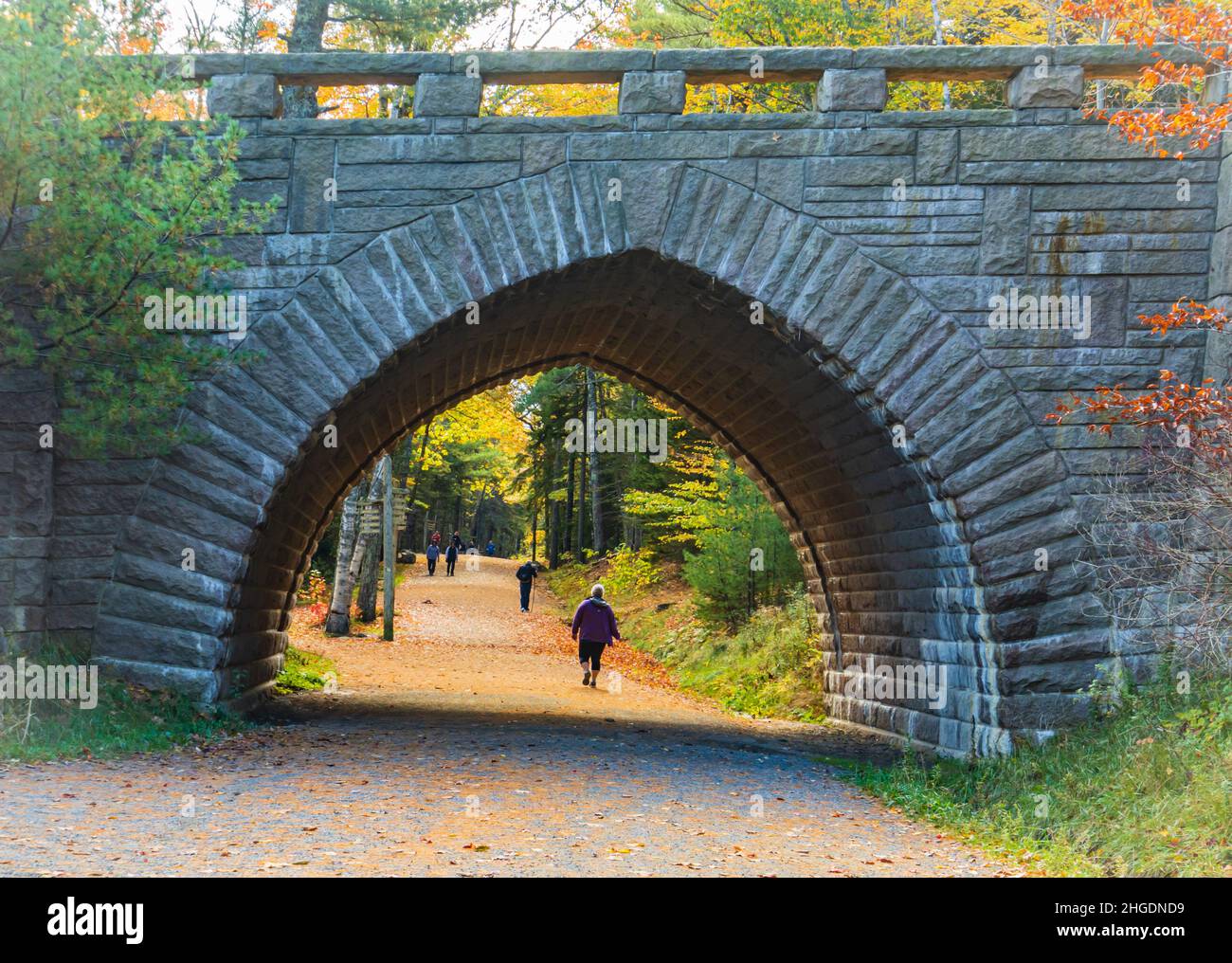 Les gens apprécient de marcher sur le chemin à pied sous le pont en pierre historique sur la route de calèche dans le parc national d'Acadia, Maine, États-Unis Banque D'Images