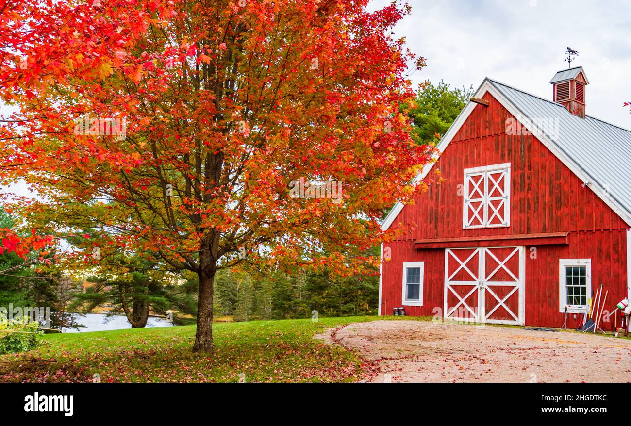 Grange rouge vif et feuillage rouge vif dans une ferme du Maine Banque D'Images