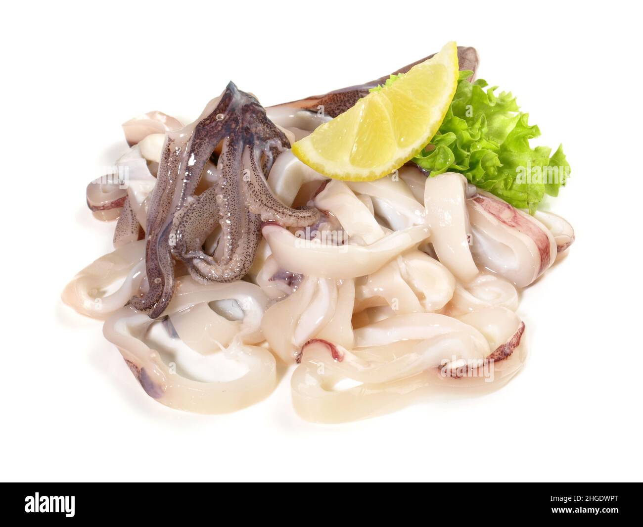 Octopus brut, Calmar avec anneaux de Calamari isolés sur fond blanc Banque D'Images