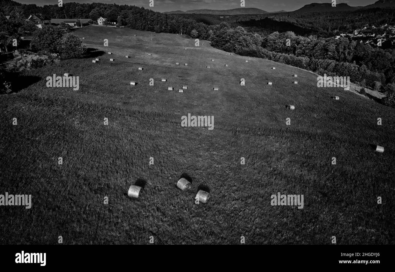 Champs d'herbe en Allemagne, photographie aérienne avec des montagnes en arrière-plan. Banque D'Images
