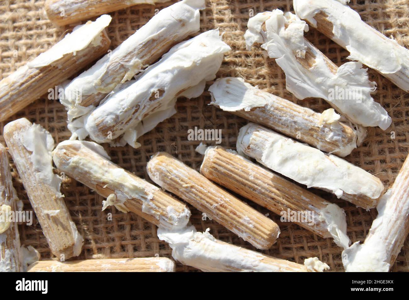 cheville en bois pour la culture des champignons Photo Stock - Alamy