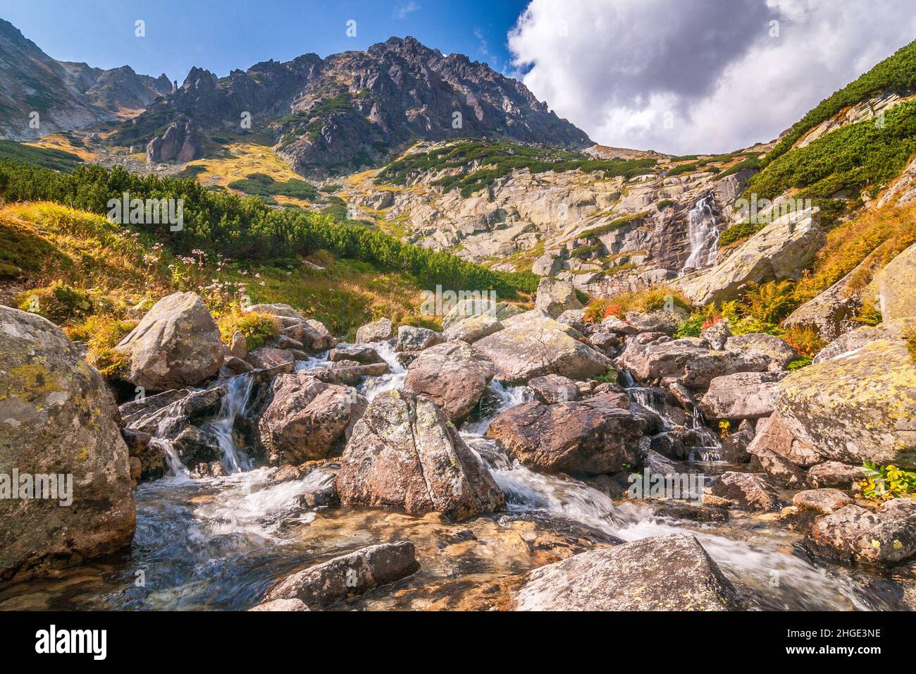 Paysage de montagne avec cascade sur un ruisseau, vallée de Mlynicka dans le parc national de High Tatras, Slovaquie, Europe. Banque D'Images