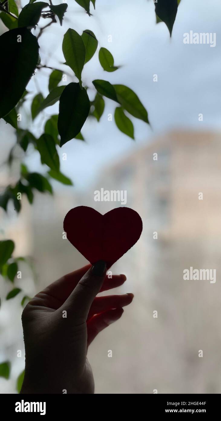 Coeur en papier rouge dans les mains des femmes contre le fond d'une fenêtre et une maison dans le contre-jour, une bonne carte postale pour les vacances, jour de la Saint Valentin. Banque D'Images