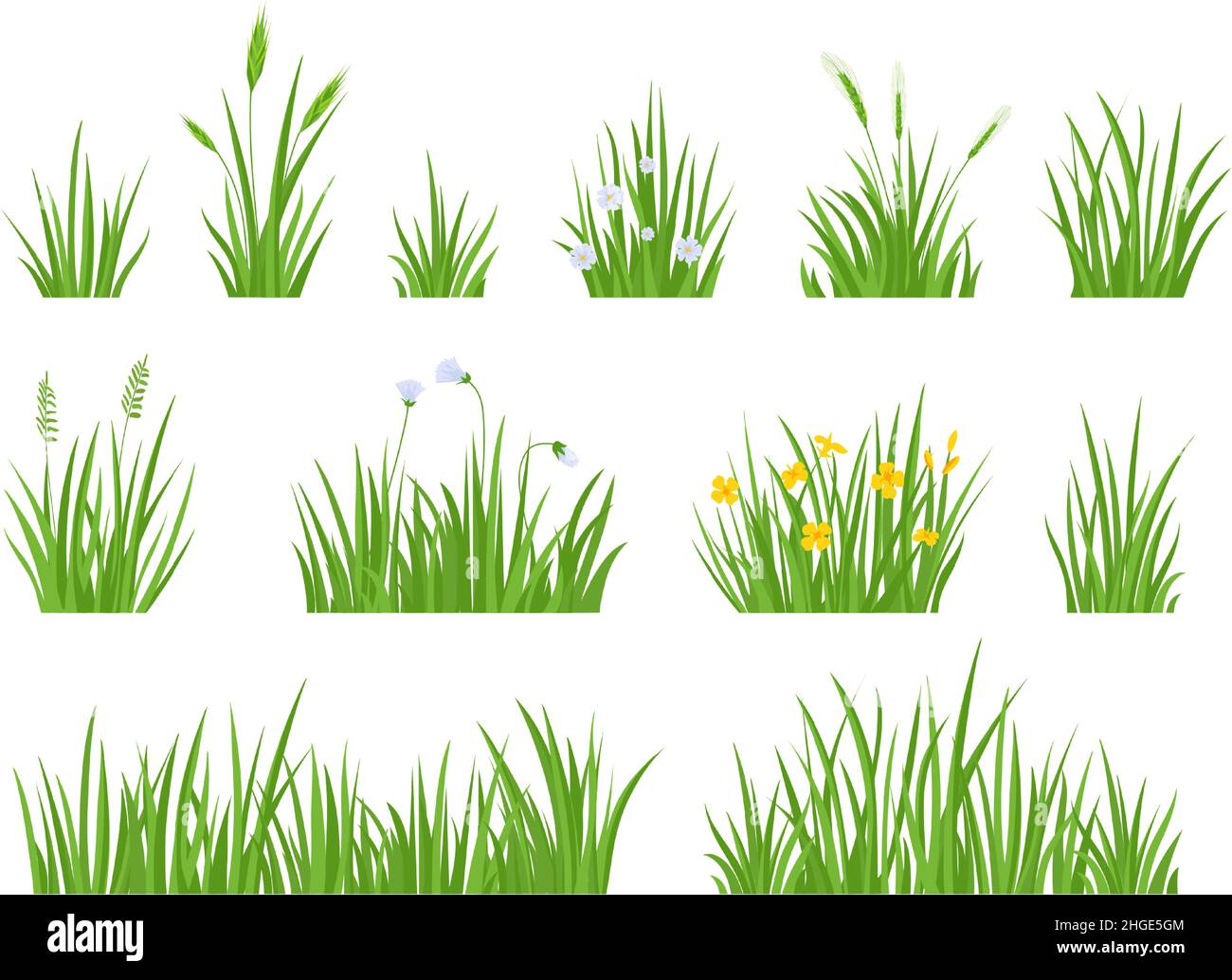 Herbe de prairie verte avec fleur, herbes et épis de pointes.Bordure horizontale de pelouse de jardin de printemps.Ensemble de vecteurs pour herbe naturelle fraîche du champ Illustration de Vecteur