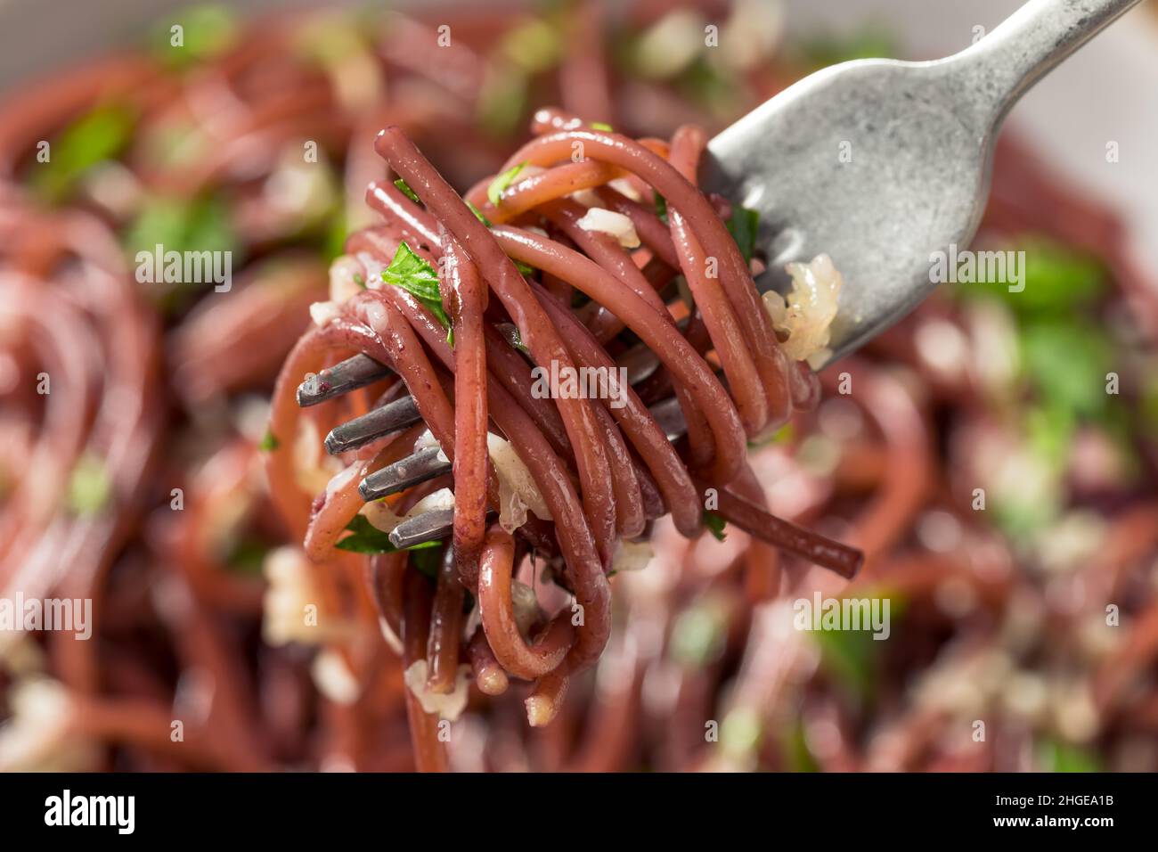 Spaghetti au vin rouge maison avec fromage et persil Banque D'Images